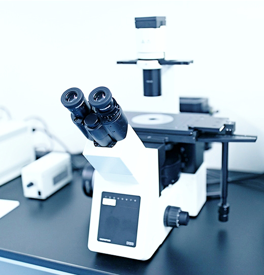 1586932990807053700.jpg 1586932990807053700.jpg