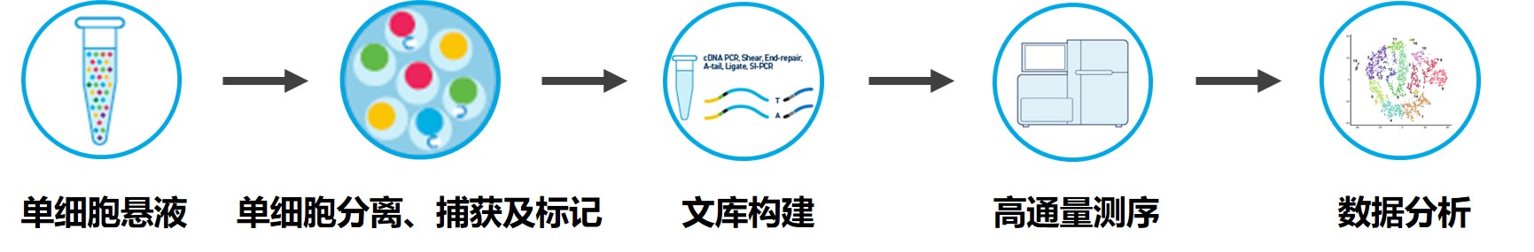 1678775566971071092.jpg 图片1.jpg